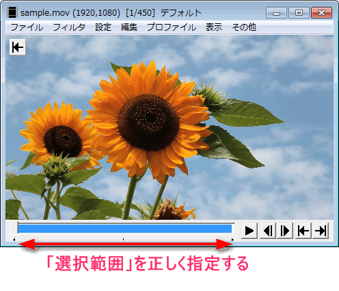 X264guiexの色々なエラーの原因と対策 エンコ失敗 Aviutlの易しい使い方