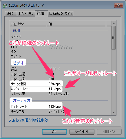 ビットレートとは 画質 音質 コーデックとの関係 映像 音声 Aviutlの易しい使い方